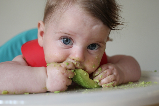 Baby_weaning_day_one_avocado2